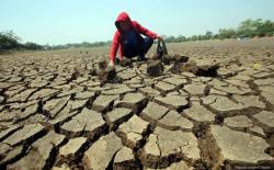 Sawah Kering, Petani di Tanah Datar Keluhkan Rusaknya Saluran Irigasi