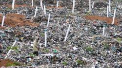 Delik RCTI: Petaka Sampah Galuga