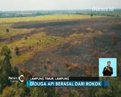 Diduga dari Puntung Rokok, Taman Nasional Way Kambas Terbakar