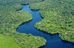 Penggundulan Hutan Amazon Turun Tajam sejak Presiden Lula Pimpin Brasil