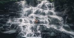 Tak Kalah Indah dari Pantai, Bali Miliki Air Terjun Cantik Kanto Lampo