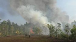 BNPB Kerahkan 10 Helikopter Water Bombing dan Hujan Buatan di Kalbar