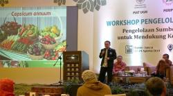 75 Persen Varietas Lokal Hilang, Indonesia Butuh Bank Genetik Tanaman