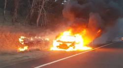 Mobil Terbakar Setelah Menabrak Kanguru, 3 Pria Australia Selamat