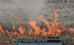 Bukit Teletubies Bromo Terbakar, Angin Kencang Sulitkan Tim Relawan Padamkan Api
