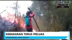 Gara-Gara Api Unggun, 110 Hektare Gunung Sindoro Terbakar