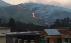 Ratusan Pendaki di Gunung Lawu Dievakuasi akibat Kebakaran Hutan