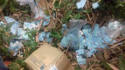 Disdukcapil Sebut Ribuan E-KTP yang Dibuang di Jalan Sudah Tak Berlaku