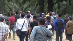 Sekuriti PT Lonsum Tewas Dibacok, 4 Tersangka Ditangkap Polda Sumsel