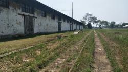 Reaktivasi 4 Jalur Kereta Api di Jabar, PT KAI Mulai Survei Lapangan