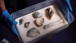 Kebakaran Museum Brasil, Fosil Tengkorak Berusia 12 Ribu Tahun Selamat