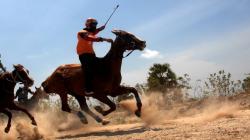 Lomba Pacuan Kuda Tradisional, Destinasi Wisata Jeneponto