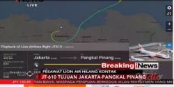 7 Fakta Jatuhnya Pesawat Lion Air JT-610 di Karawang