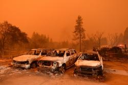Kebakaran Hutan Landa California, 9 Orang Tewas dan 150 Ribu Mengungsi