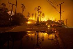 Terus Bertambah, Korban Kebakaran Hutan di California Jadi 29 Orang