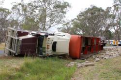 Truk Pengangkut Ternak Terguling di Australia, 300 Domba Mati