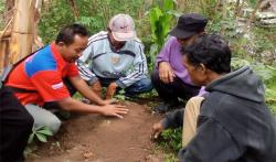 Genjot Ekonomi, Perindo Gunungkidul Ajak Warga Tanam Pepaya Kalifornia