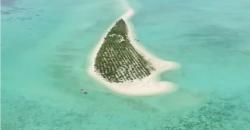 Mengintip Keindahan Taman Laut Gili Noko, Berwarna-warni Mirip Bunaken
