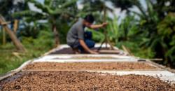 Sumber Daya Alam di Sulawesi Selatan, Sektor hingga Komoditas Unggulan