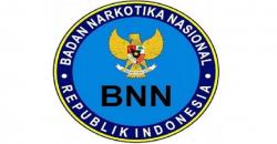 BNN Dalami Motif Tawuran di Manggarai terkait Peredaran Narkoba