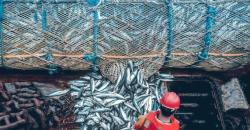 DPR: Perlu Langkah Strategis Atasi Penangkapan Ikan Berlebihan
