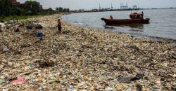 Gerebek Sampah, Petugas LH DKI Temukan Ular Kobra di Kali Pesanggrahan