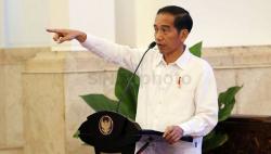 Jokowi Perintahkan Menteri PUPR Renovasi Rumah Atlet Atletik Zohri