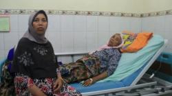 Petani di Tegal Diserang Kawanan Lebah, 1 Tewas dan 5 Luka-luka