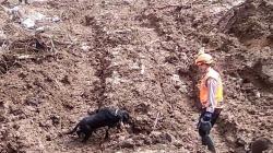 Tim Turunkan 5 Anjing Pelacak Mencari 9 Korban Longsor di Gowa