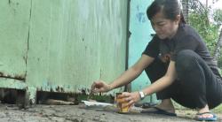 Viral, 3 Anjing Kelaparan Terjebak di Gudang Sitaan PN Karanganyar