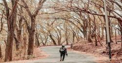 Diajak Jalan Kenalan Baru, ABG Asal Sleman Diturunkan di Hutan Sermo Kulonprogo