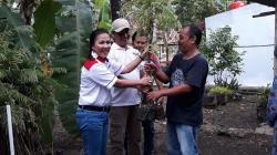 Bantu Petani Kuloprogo, Caleg Perindo Bagikan 2.000 Benih Sengon Laut<
