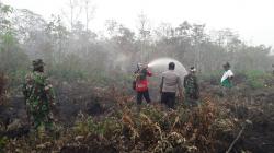 Karhutla di Gunung Batukaru Bali, Lahan Seluas 300 Meter Persegi Terbakar