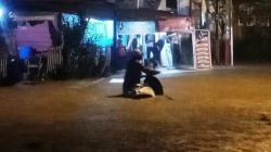 Ribuan Rumah Warga Mamuju Sulbar Terendam Banjir, 1 Ambruk