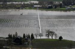 Diterjang Banjir dan Longsor, 'Kota-Kota Anggur' California Jadi Pulau