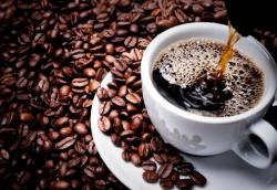 Maksimalkan Kebun Kopi, Pemerintah Revitalisasi Balai Latihan Kerja di Lampung Barat