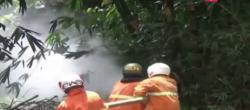 7 Siswa SD Tersengat Tawon di Hutan Kota Lebak, Petugas Kebakaran Turun Tangan