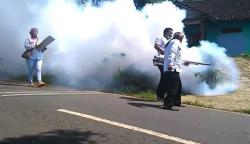 Libatkan Caleg Perempuan, Perindo Fogging Rumah di Tengah Hutan Jati