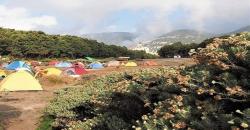 Tegal Alun, Spot Terbaik Melihat Taman Edelweiss di Gunung Papandayan
