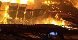 Peternakan di Blitar Ludes Terbakar, 8.000 Ekor Ayam Broiler Mati Terpanggang 