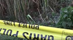 Suami Diduga Pembunuh Istri di Kediri Ditemukan Tewas Membusuk Dalam Kebun Tebu