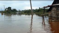 Banjir di Batola Rendam 3.000 Hektare Lahan Pertanian<