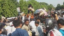 Diwarnai Kericuhan, Satpol PP Panggil Panitia Pembagian Ayam Gratis di Yogya