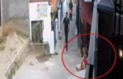 Video Penjambret Rampas HP Bocah di Bandung Tengah Asyik Main Game