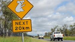 4 Remaja Australia Nekat Curi Mobil, Kabur Sejauh 1.000 Km Dalam 2 Hari