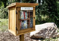 Unik, Perpustakaan Mini di Halaman Rumah yang Makin Berkembang di AS