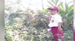Video Viral Perjuangan Bocah 7 Tahun Bersekolah Lintasi Hutan di Kuningan