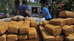 BNN Musnahkan 150 Kg Ganja yang Disembunyikan Dalam Bagasi Mobil