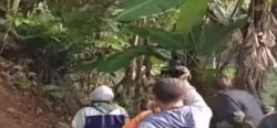 Penampakan Macan Tutul di Permukiman Penduduk Gegerkan Warga Tasikmalaya