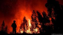 Angin Kencang dan Suhu Panas Picu Kebakaran Hutan Besar di Yunani